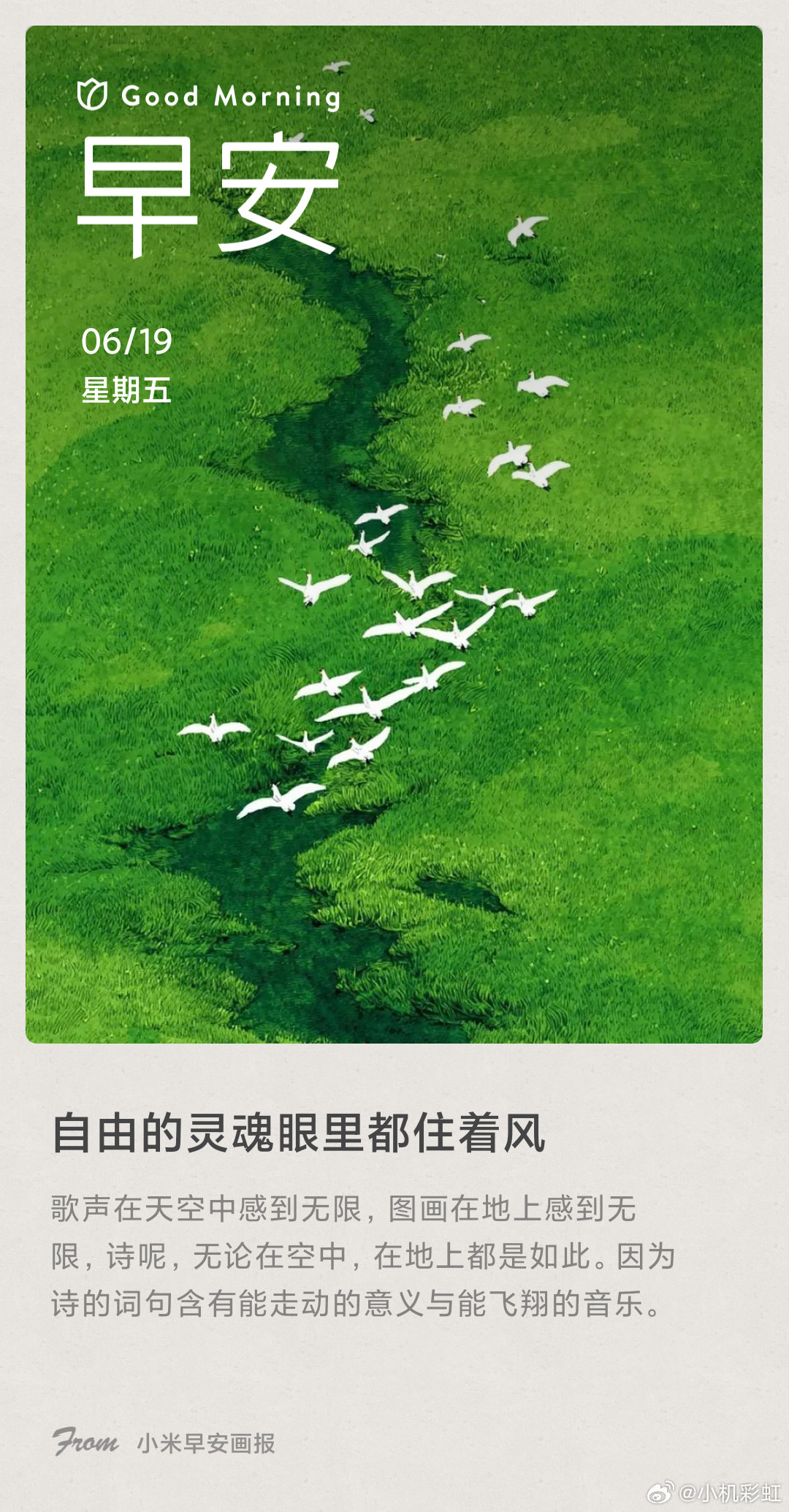 小米画报 自由的灵魂眼里都住着风： 歌声在天空中感到无限，图画在地上感到无限，诗