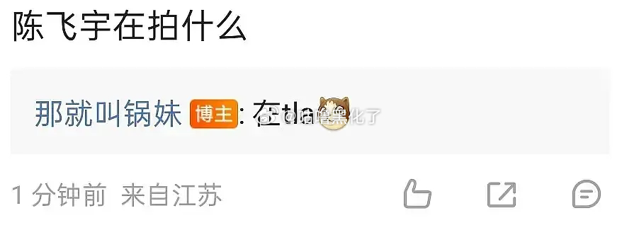 瓜主回复网友陈飞宇在拍什么剧了，所以是哪部？ 