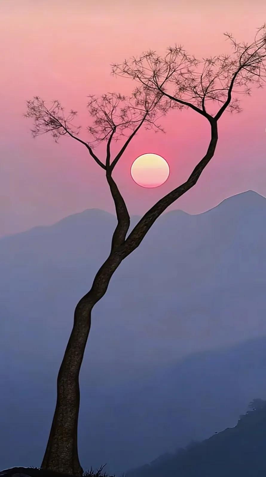 实话讲，太精明的人，
往往没福气。
 
人算的是利弊得失，
天算的是因果轮回；