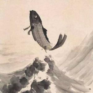 鱼儿说事