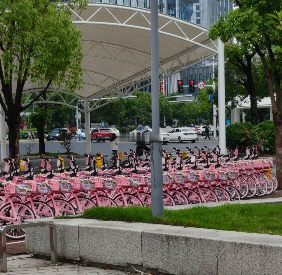 福州城区“上线”粉色共享单车 车篮还进行了特别的装饰 