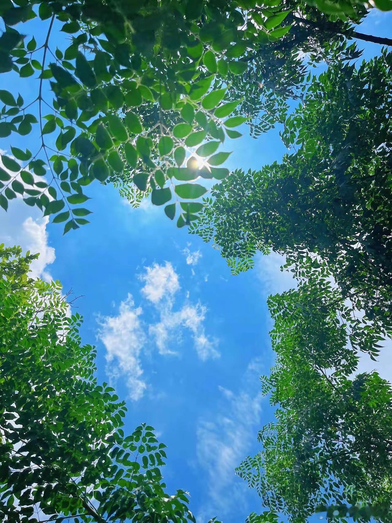 🌾出伏 | 伏日炎炎，一夏未了今日出伏，长达四十天的三伏天终于画上句点。清晨推