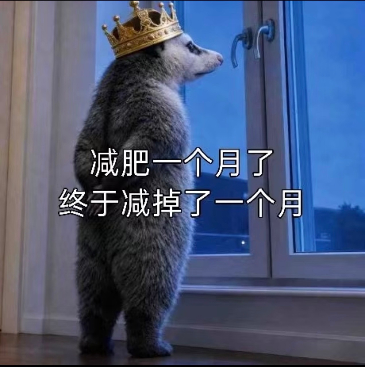 这届网友吃麻辣烫先用AI看热量别说，你还真别说，这个拍照算热量和营养的功能，对减