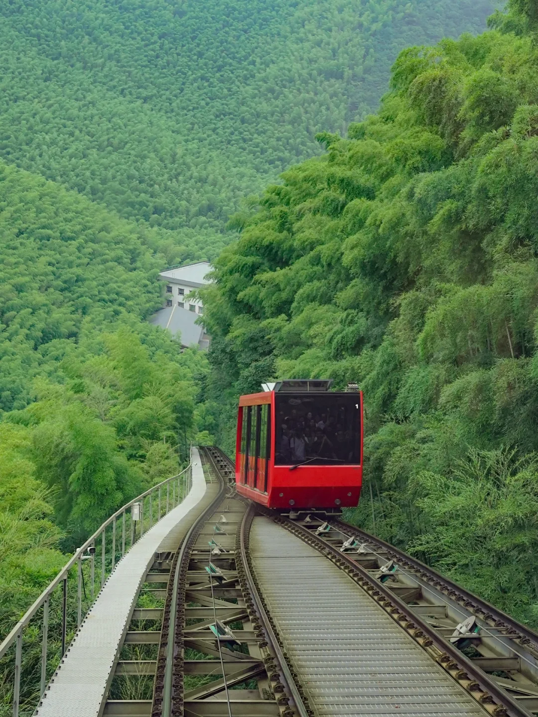 拒绝人挤人❗️后悔才来溧阳🍃竹林秘境美哭了