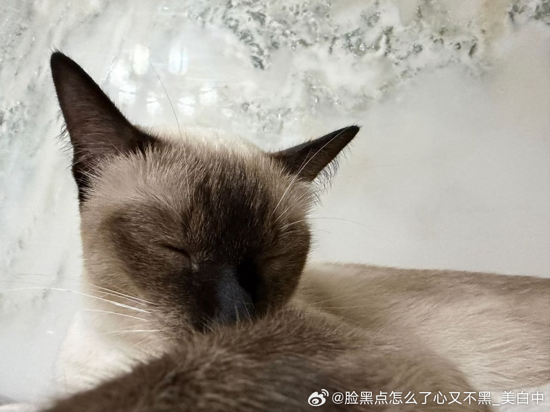 晚安逼罗