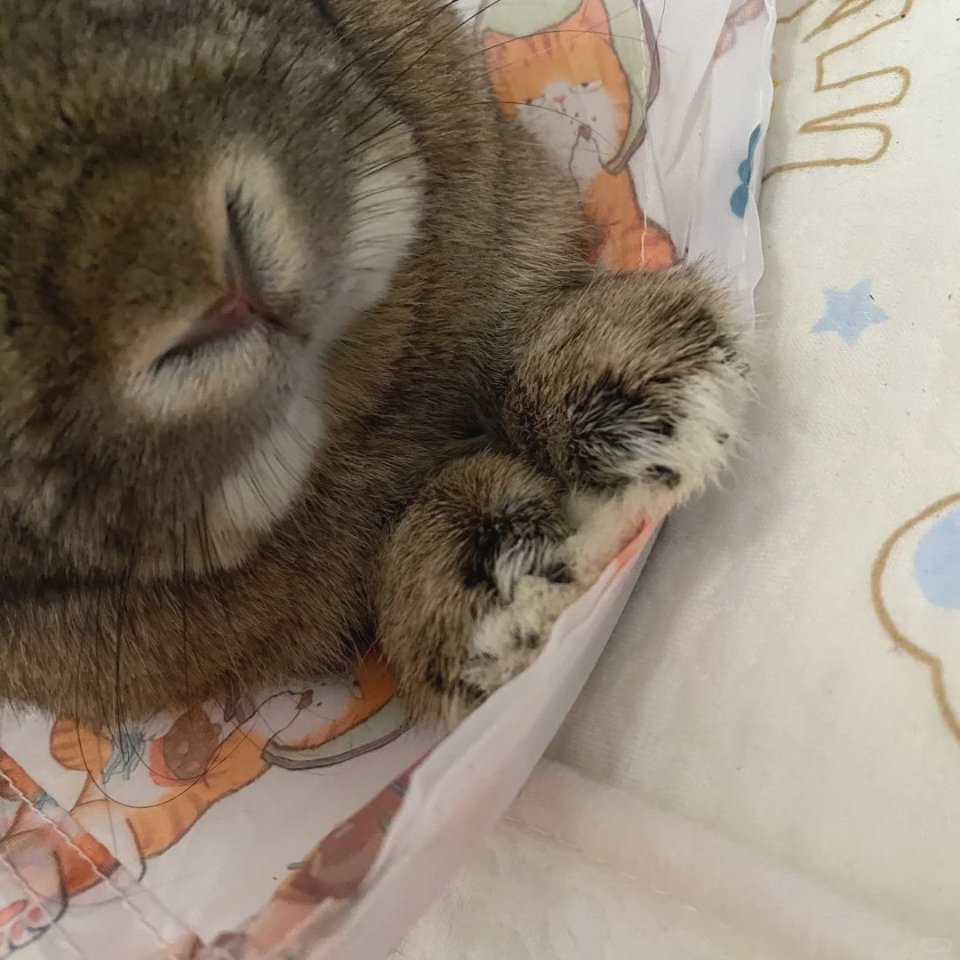 狂吸小手