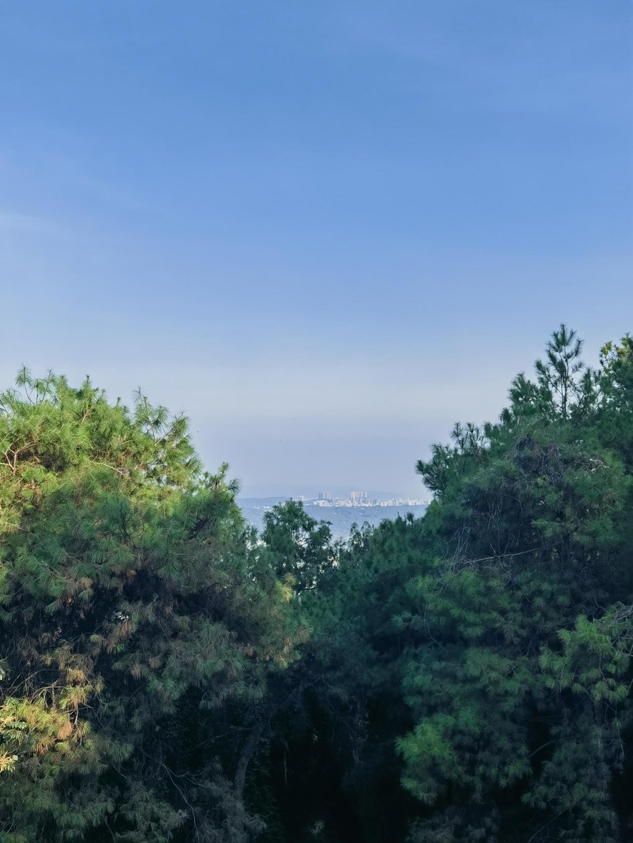 9月1号那天出门遛弯，天朗气清得离谱，蓝天像刚擦过的玻璃透亮，一团团云絮软得像刚
