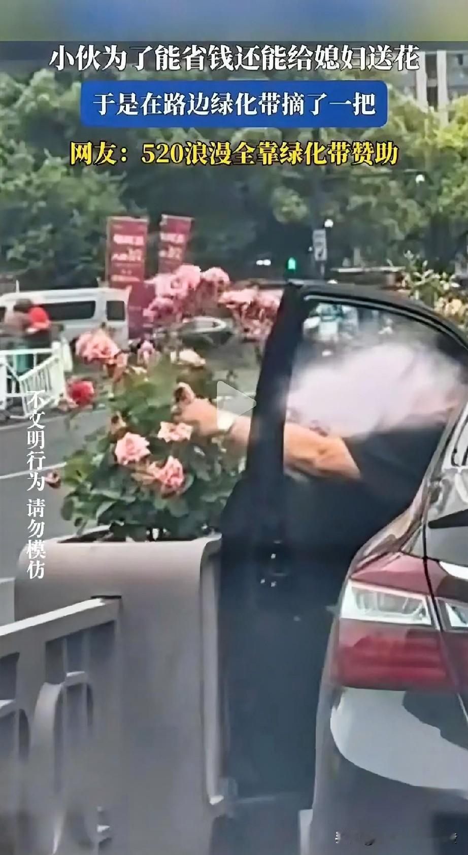 男子打开车门，

透过窗户

直接把绿化带里的

花摘了一把。
————————