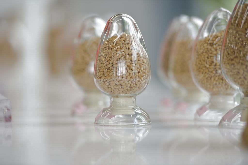 农业农村部最新登记推出了1048个特色农作物新品种。这些品种覆盖了特色粮食、油料