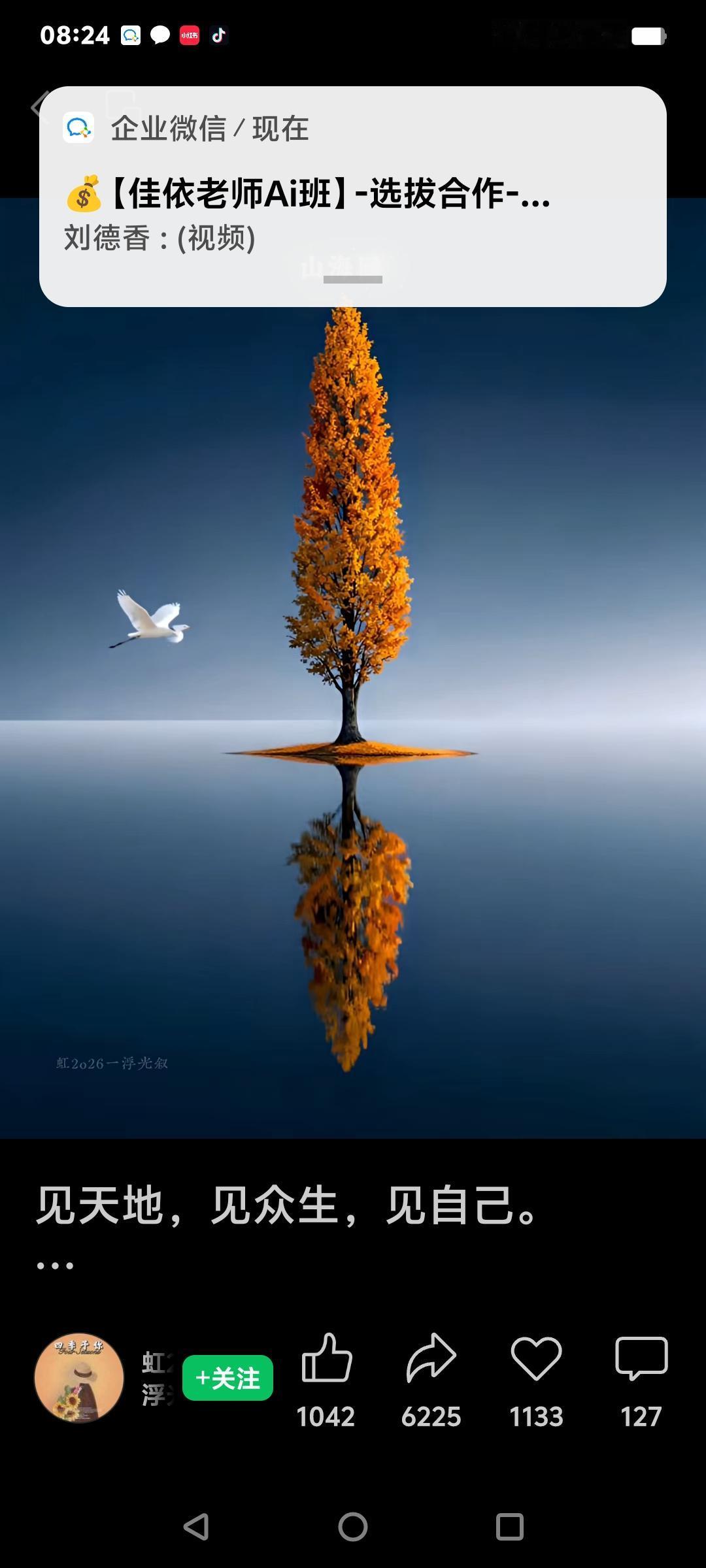 生命中美好的一瞬间，就像夜空中闪烁的流星，短暂却璀璨。

池塘绿水如镜，新荷叶像