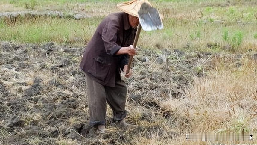 系统提问之当今老农民最需要什么?

我个人认为：当今老农民最需要三样东西！

第