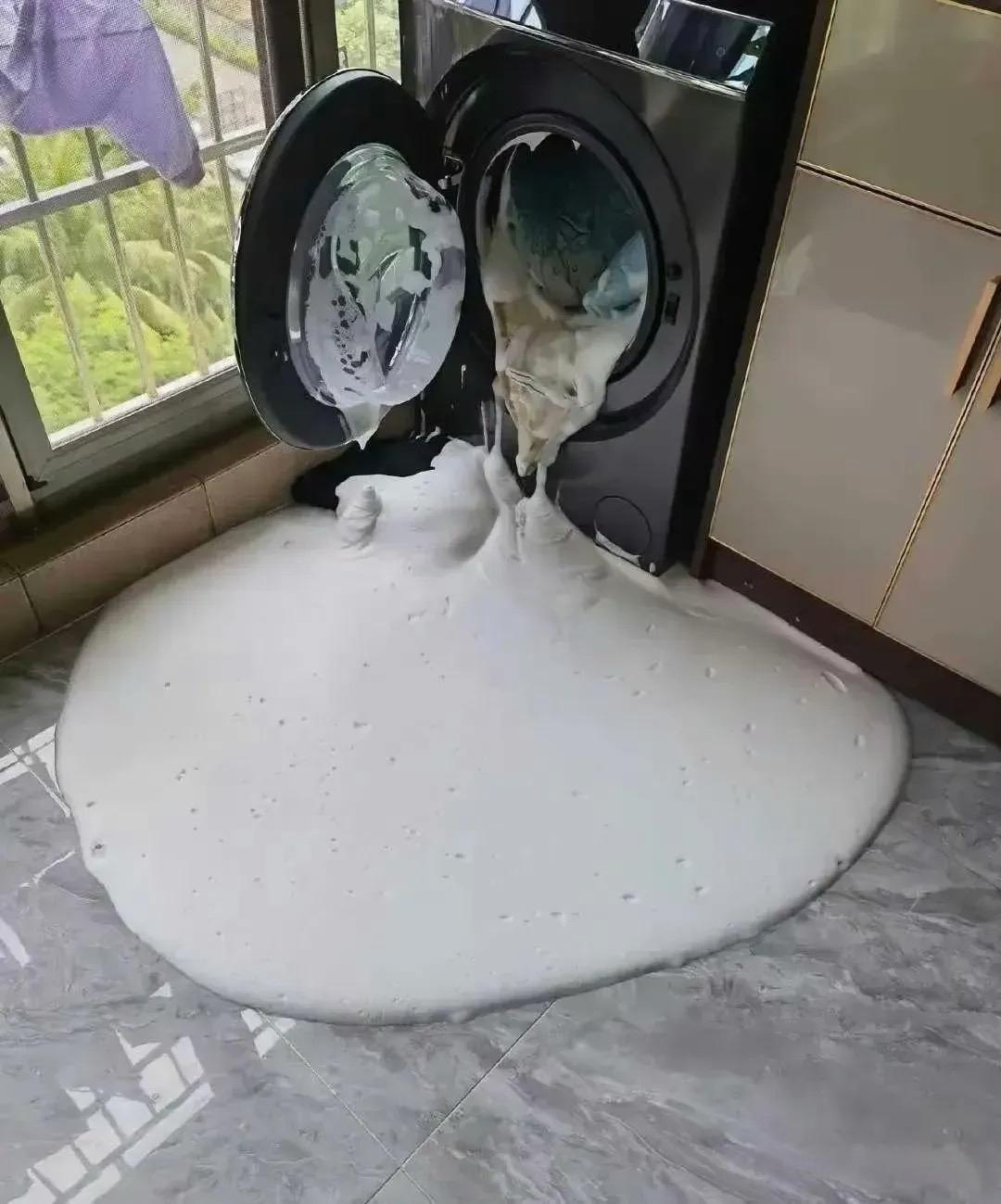 怎么办？它怎么还吐了