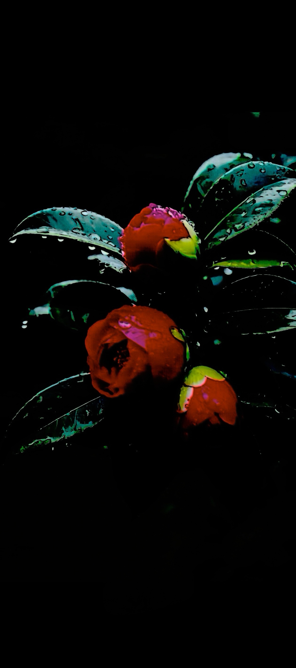 经常抱怨生活的人，永远都不会翻身。事实上，能帮助自己的不是他人，而是我们自己。抱