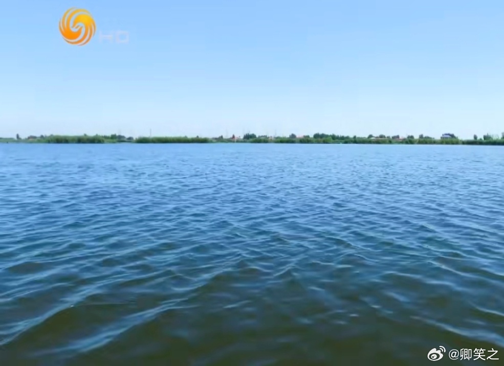 雄安生态向好白洋淀鸟增90种鱼翻倍从27种鱼到50种鱼，增长的不是数字，是白洋淀