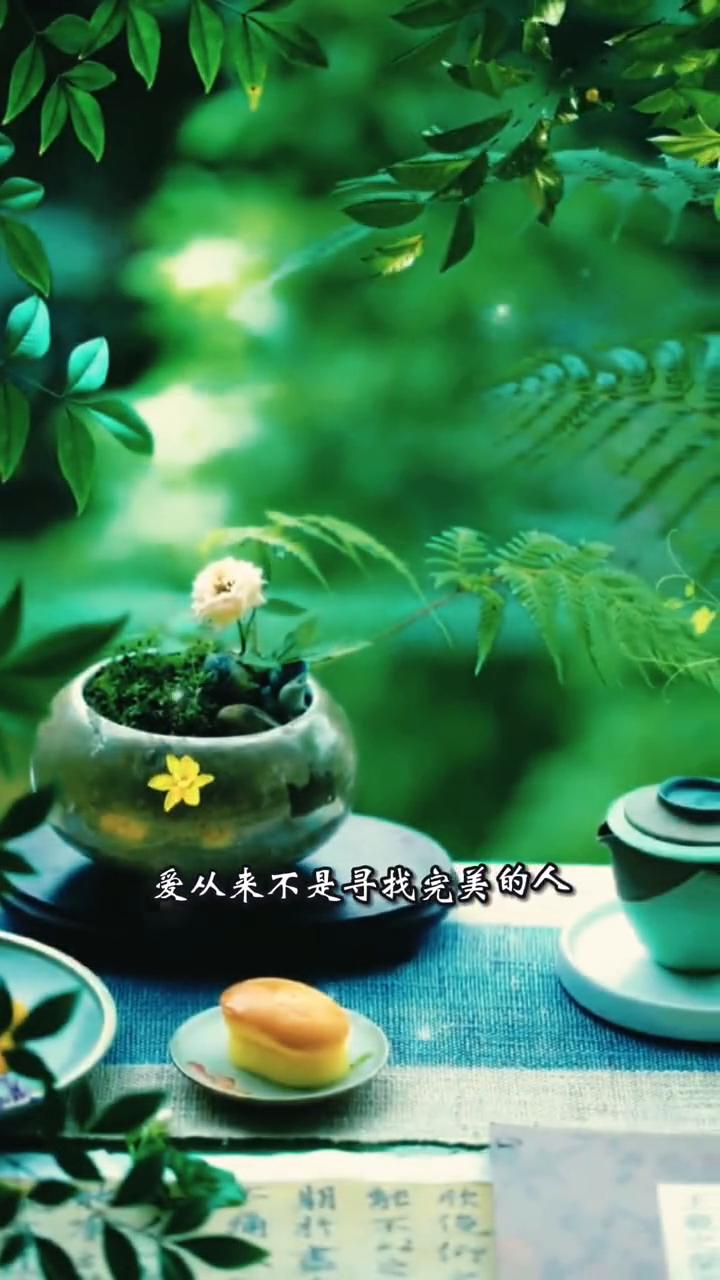 爱从来不是寻找完美的人，而是学会用完整的目光看见一个平凡灵魂里闪烁的独特光芒。当