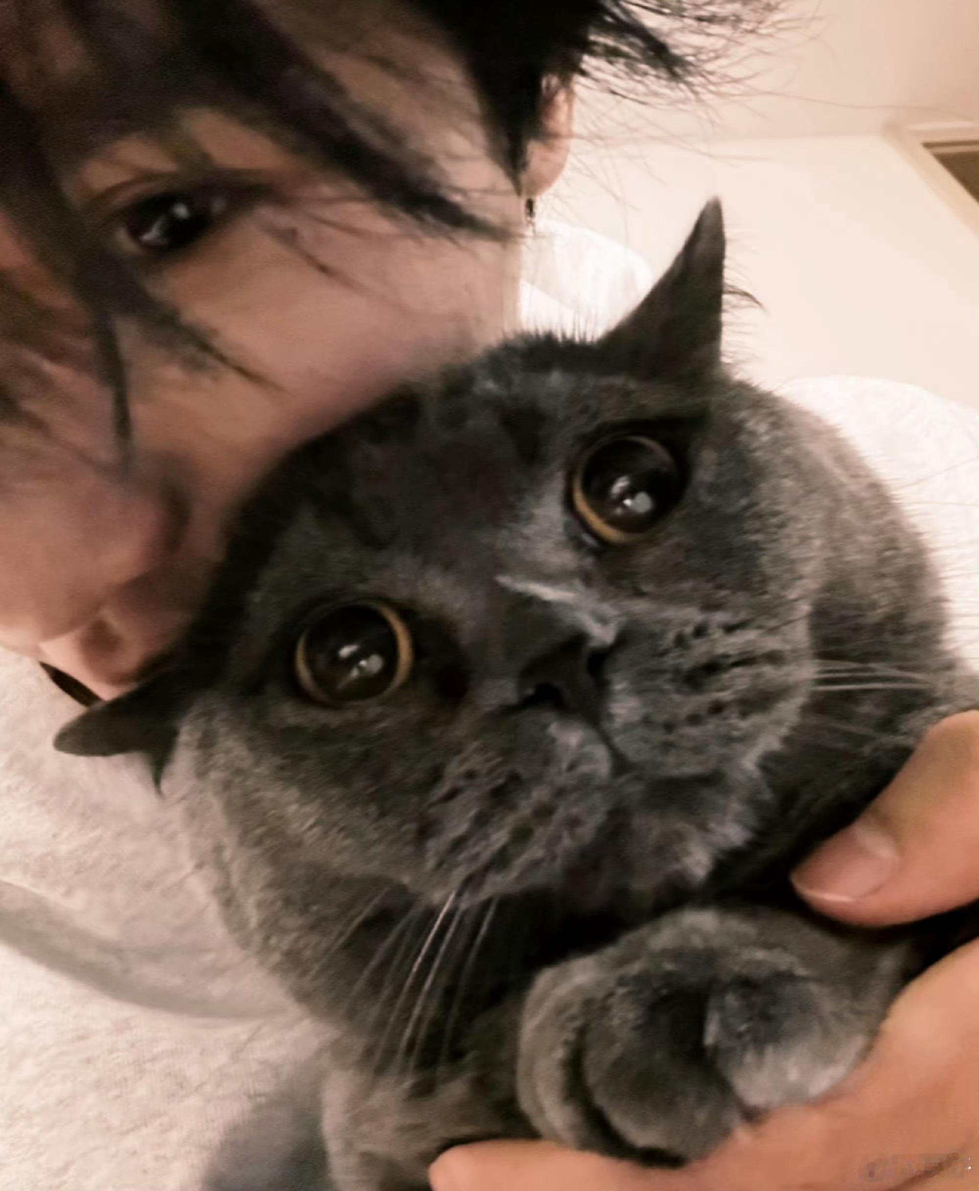 展轩抱猫照展轩最近拍的日落展轩最近拍的日落，抱猫照好有爱，好帅呀 