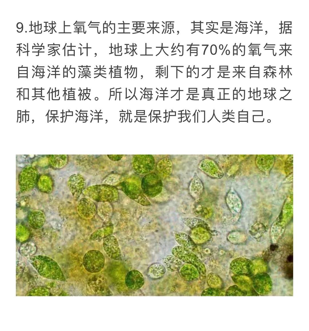 又到了每日思考频道