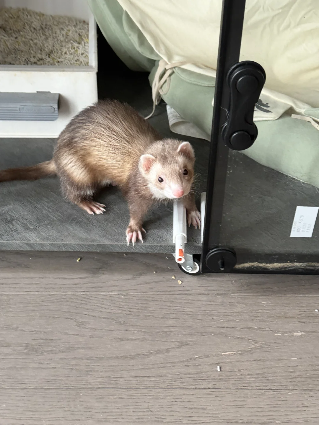 所有人！立马！点进来看！