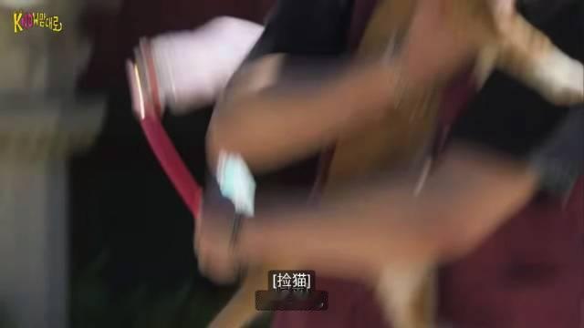 猫咪老大上线 绑架小猫

🐰：我们顺儿东儿多利 曾经也能用一只手抱起来的
🐰➡️🐈：不过你也快了 我