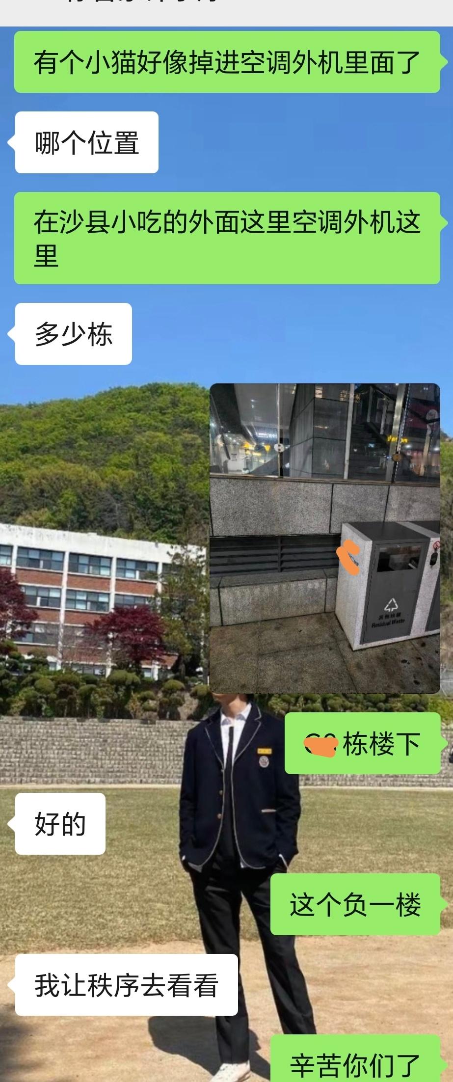 关于救了只小猫本来吃完晚饭和同事溜达，结果听到空调外机有猫叫，还以为有只猫掉进去