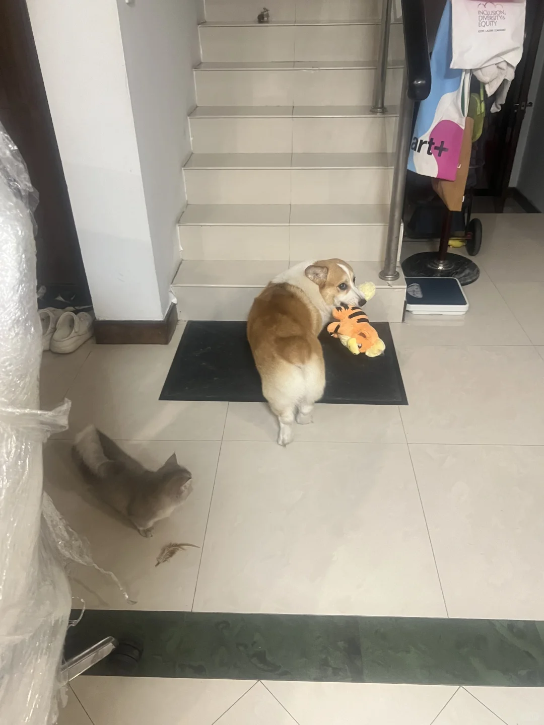 从婚礼打劫来的小玩具