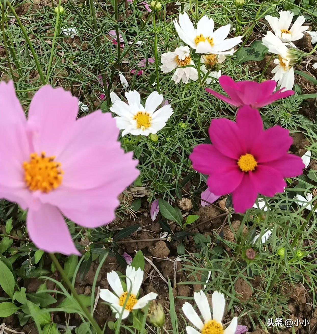 原来成年人的感情，真的经不起一点现实考验。
 
同宿舍的宿友说，暧昧了两年，他口