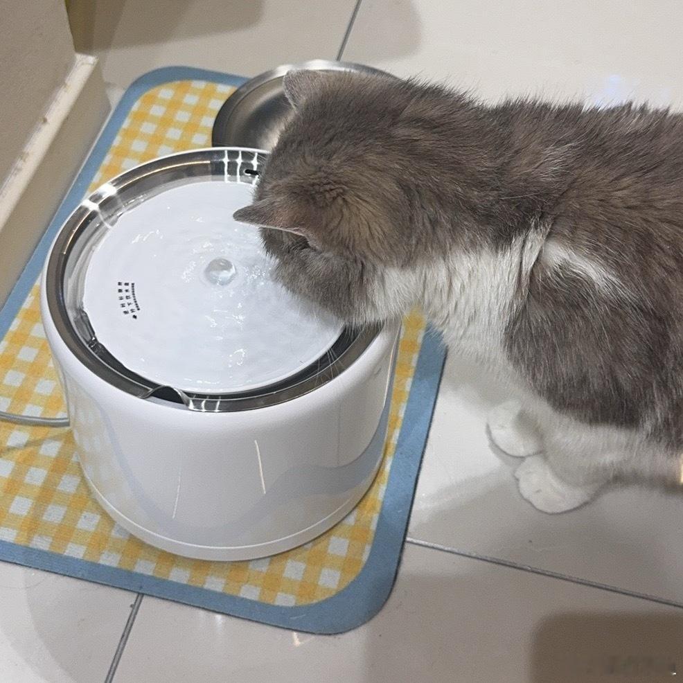 陈爆爆日记 爆爆也是喝上流动水源了 