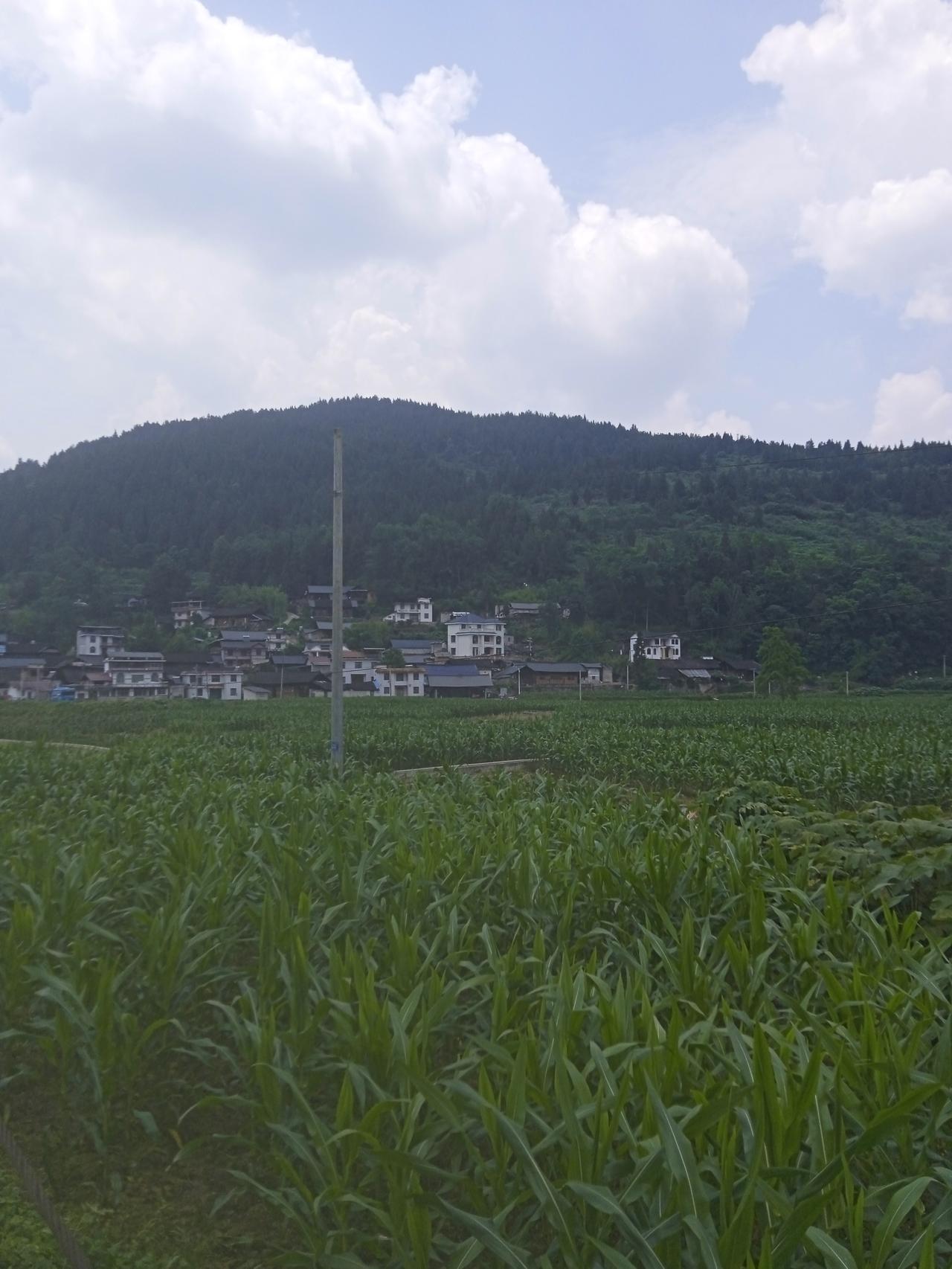 “社会的正常运转，默默地规定了必须一部分人在底层作为劳动生产力。”
我想这个不是