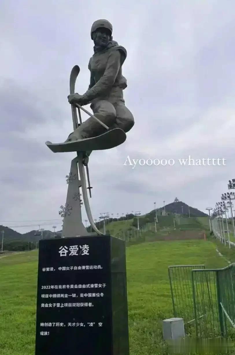 李凯尔需要做到哪些才能达到谷爱凌的高度？
以谷爱凌争议之大，李凯尔带领中国男篮进