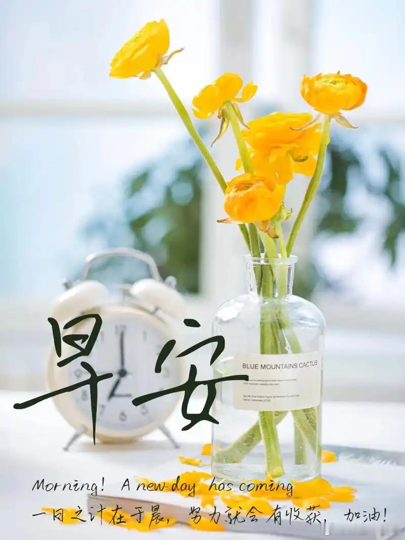 早安[心]，小伙伴们[锦鲤附体] 