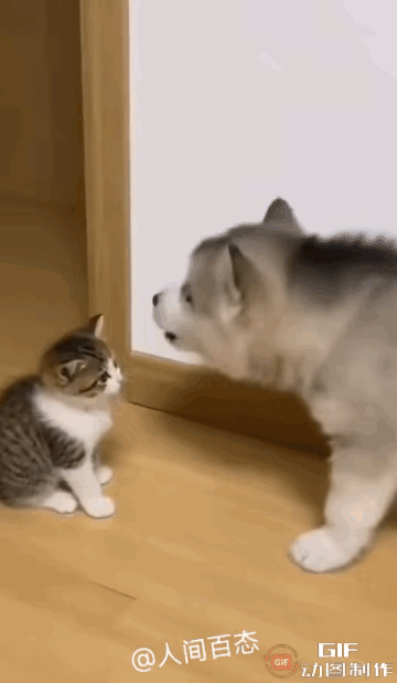 就是这么现实，没有实力，所谓的友好和平，都是镜中花水中月！