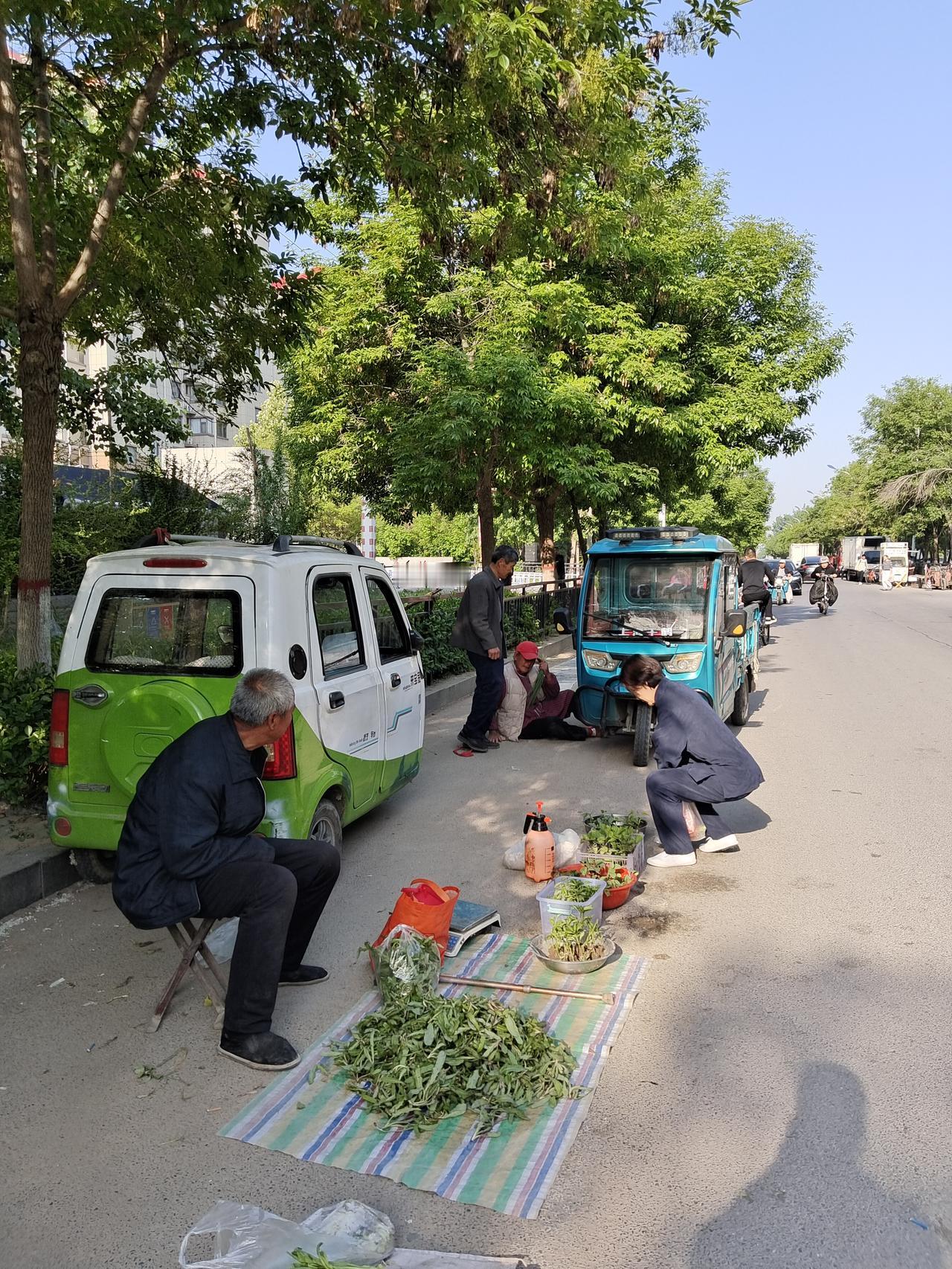 今天上午，我和雇主大姐去超市外面的马路边去转，想瞅一瞅，看能不能买到想要的蔬菜。