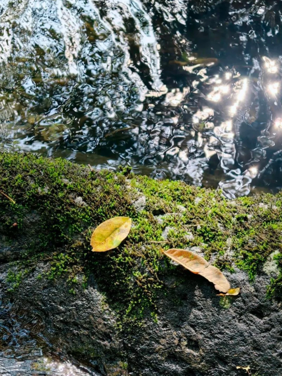 箐谷水道