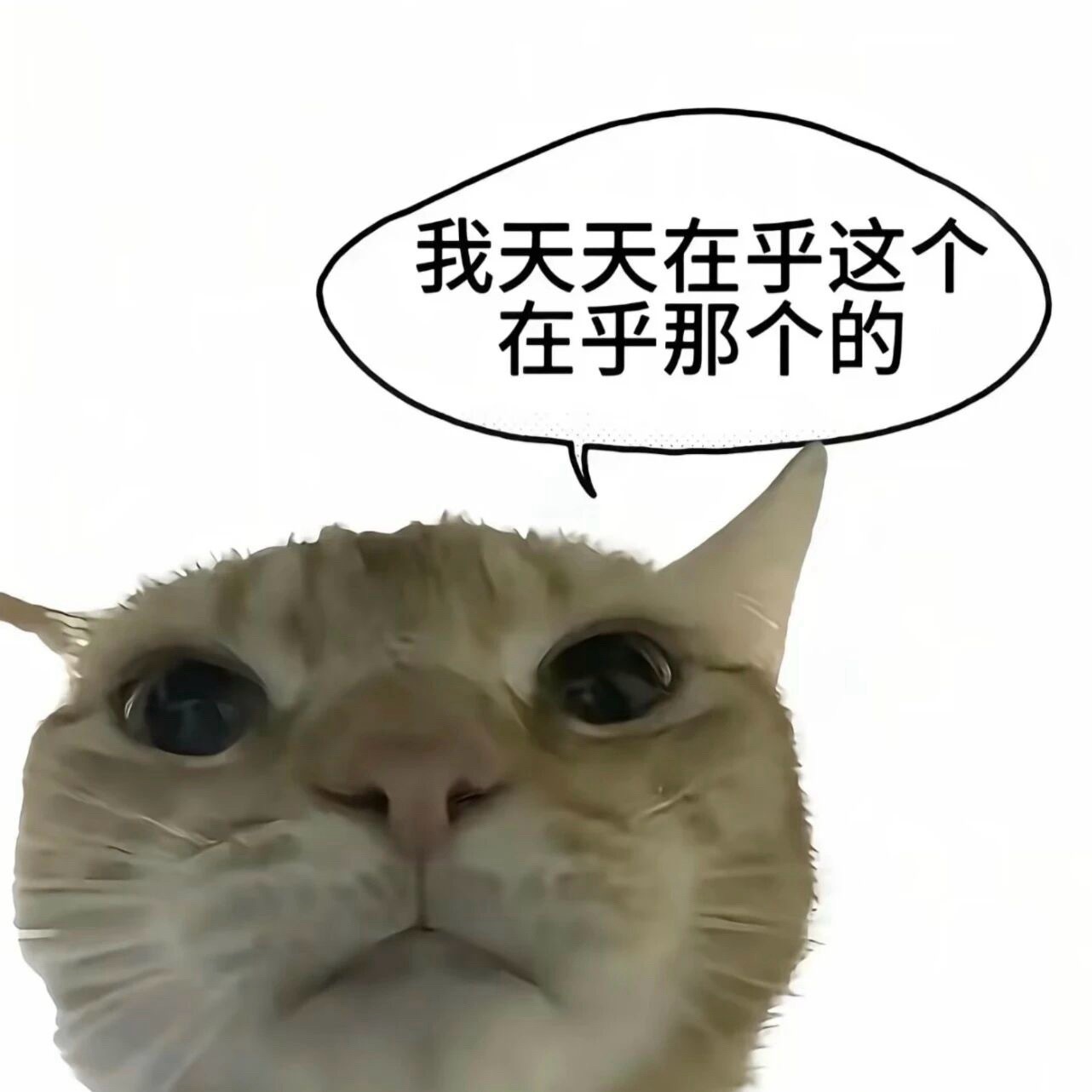生日朋友圈发了三天了我还重新补过了一个生日那我岂不是发了一个月