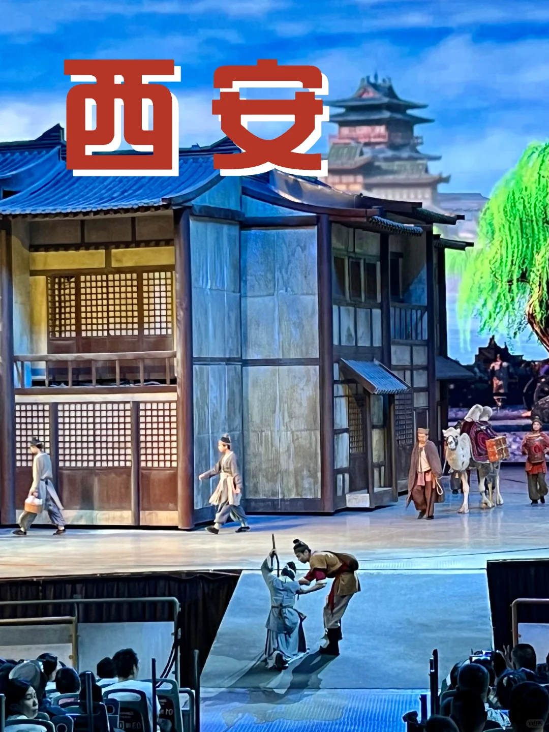 西安不愧是大城市！驼铃传奇好好看！！