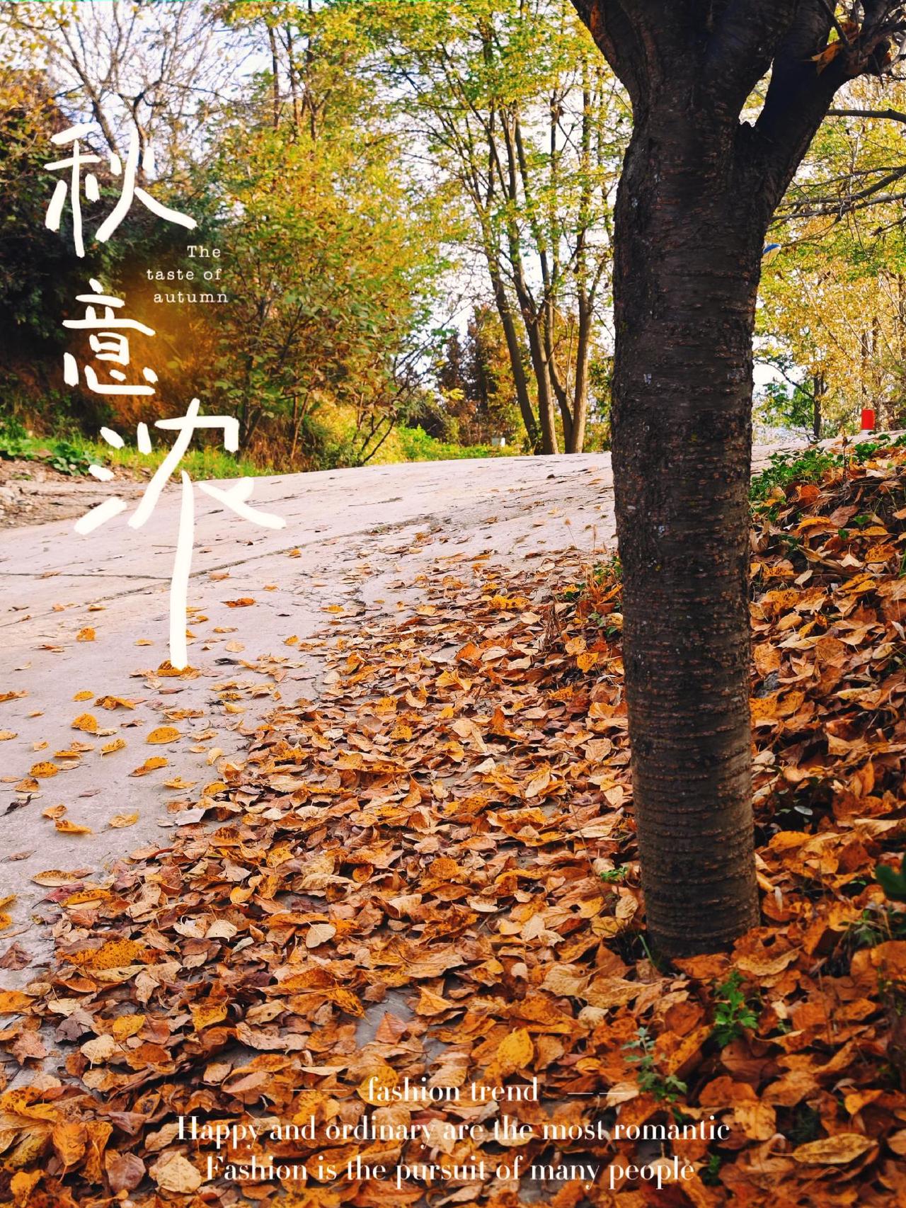 #秋天落叶🍂 #一起来拍秋天 发现生活发现美