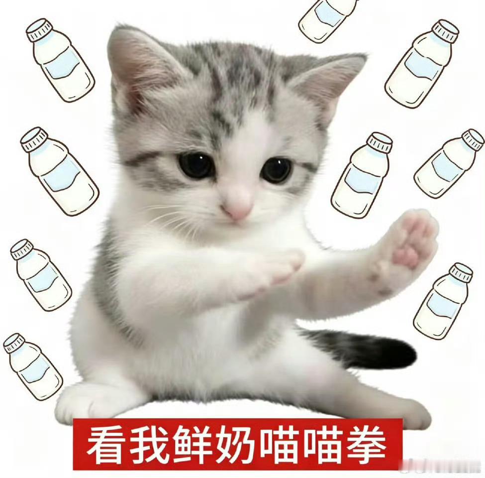 世界杯32强预测是鲜奶不是毒奶 胡晓慧这波预测太敢了，德国巴西都不出现？说是毒奶