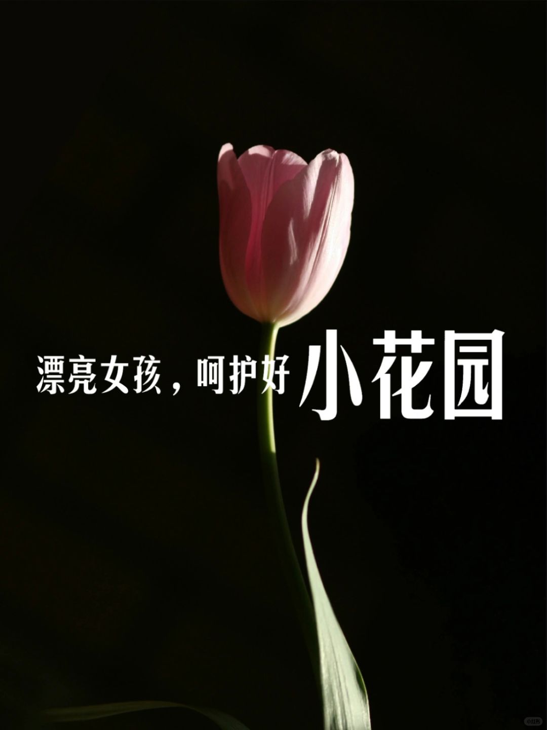 姑娘们：“小花园”养护好，自然更漂亮