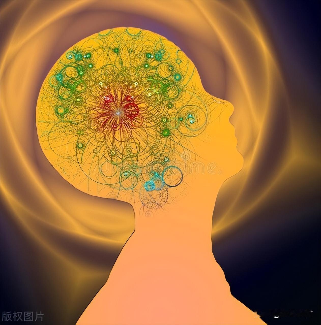 麻将是高强度认知刺激活动，理牌、算牌需同时调动记忆、计算、决策与注意力，持续激活