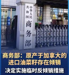 “不卖中国，还不能卖别人？全世界就中国吃菜籽油？”就在中国宣布对加拿大油菜籽征收
