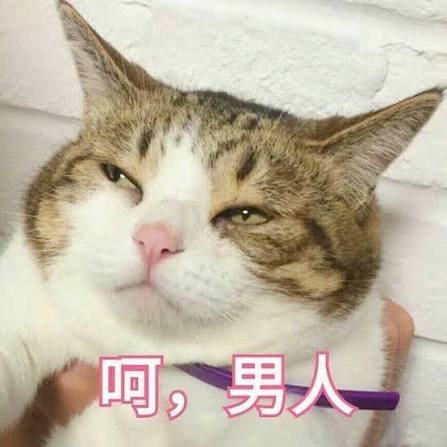 今天两客人在聊天，她们在说查老公手机的事我同事悄悄跟我说她见过那人的老公，恋爱果