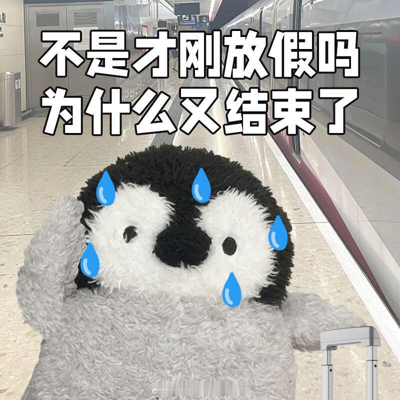 五一假期余额还剩两天表情包｜不是刚放假吗，为什么又结束了💔 ​  ​​​