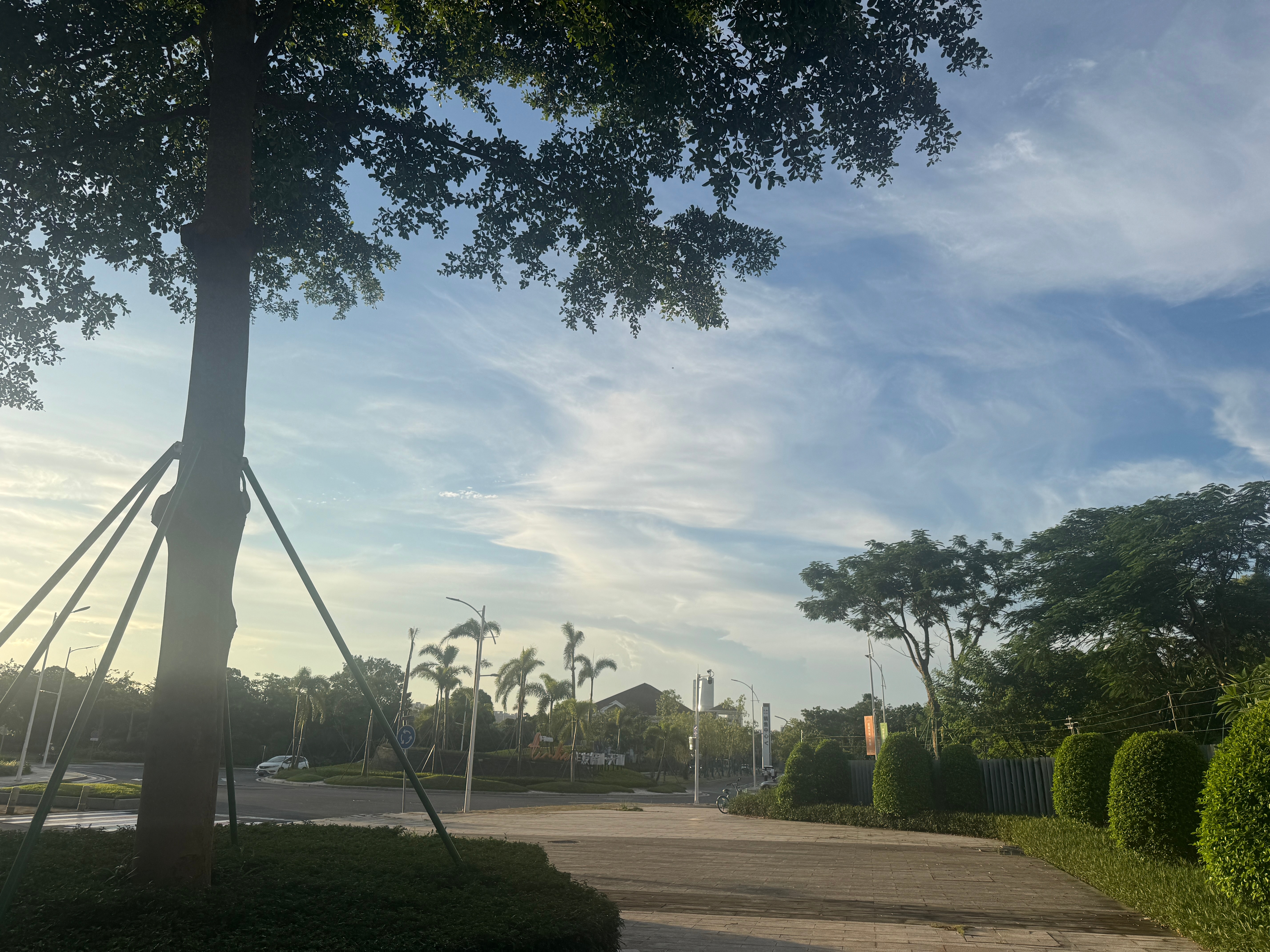 早安[超话]  早早早好热好热好热，今天早起带娃散步半小时完成✅ ​​​