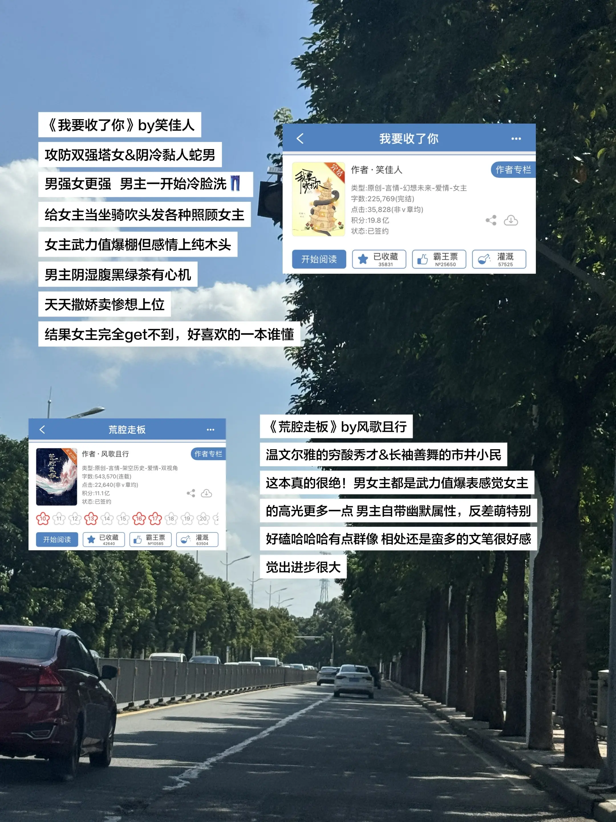 这两天在看的