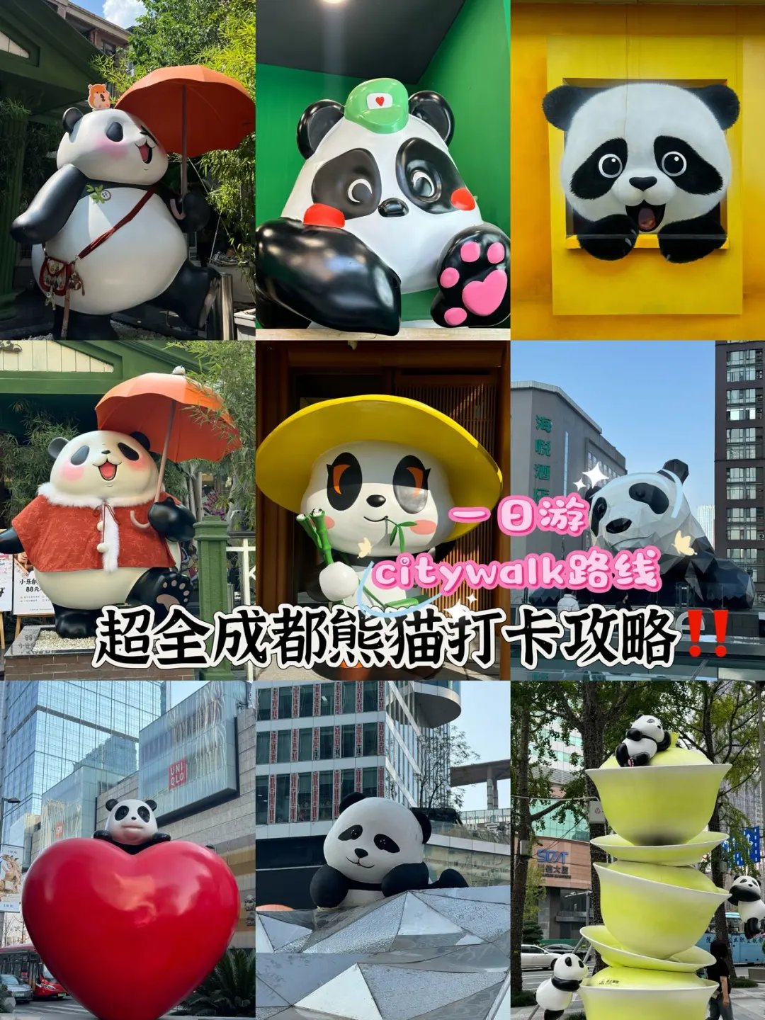 成都超全成都熊猫打卡攻略‼️