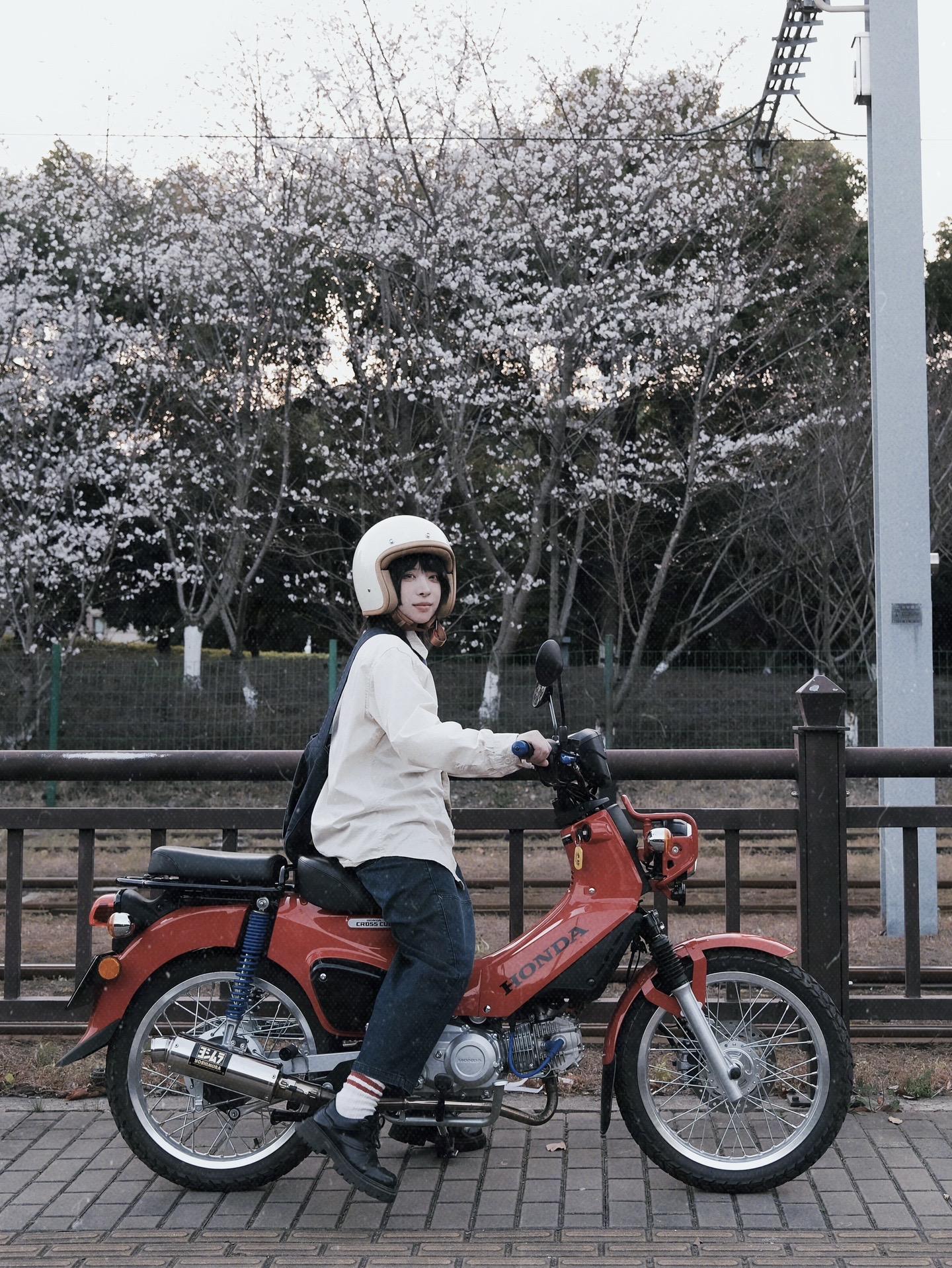 想念我那逝去的头发。