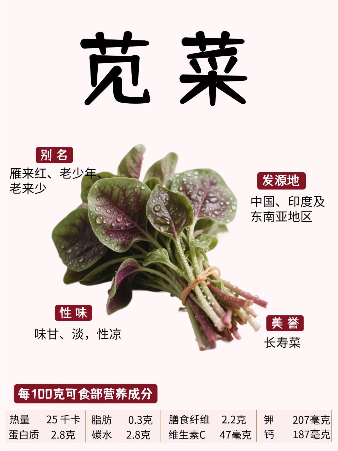蔬菜🌿「苋菜」全攻略｜营养/吃法/禁忌一次说清——清热解毒+瘦身通便，古人口中