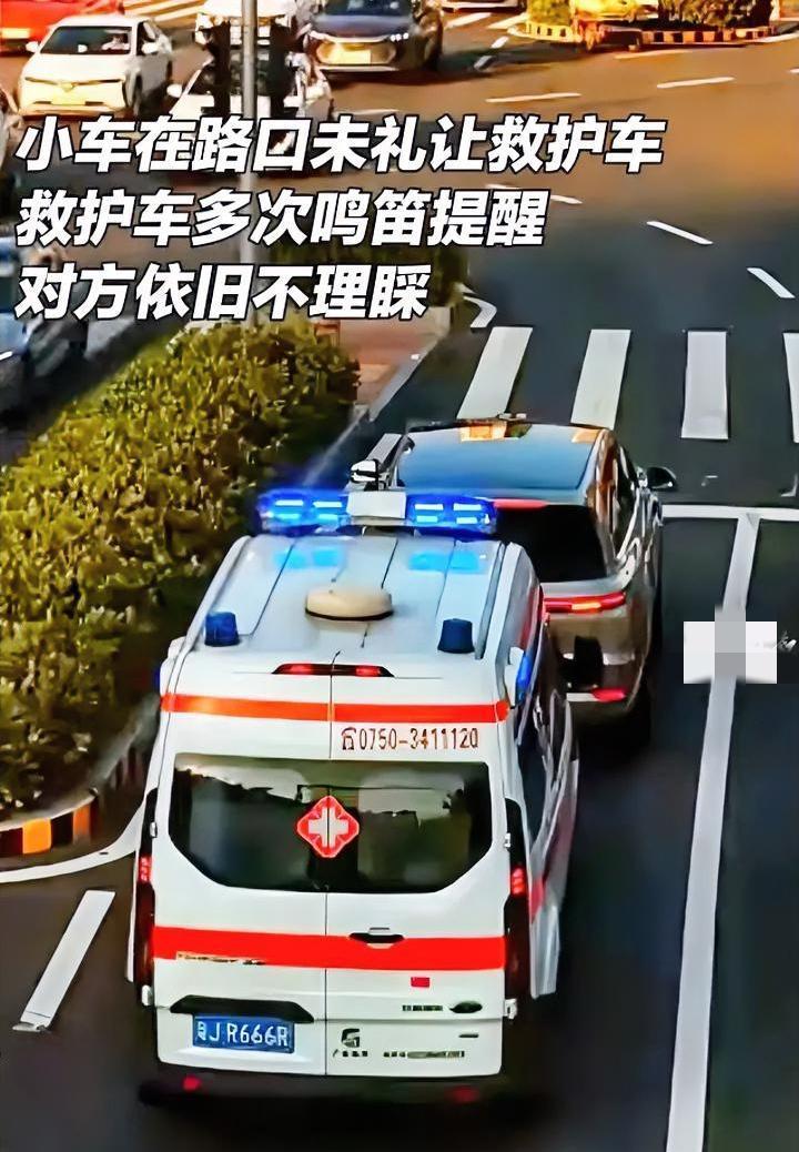 救护车喇叭按烂了，私家车却一动不动，逼得救护车倒车，压过绿化带，从逆向车道离开。