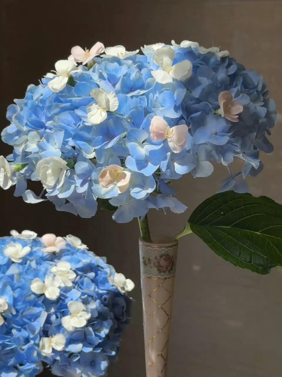 近期超超超喜欢的颜文字文案ᐢ>∀<ᐢ 1.我遇到一个男孩 他看起来太好欺负了 我