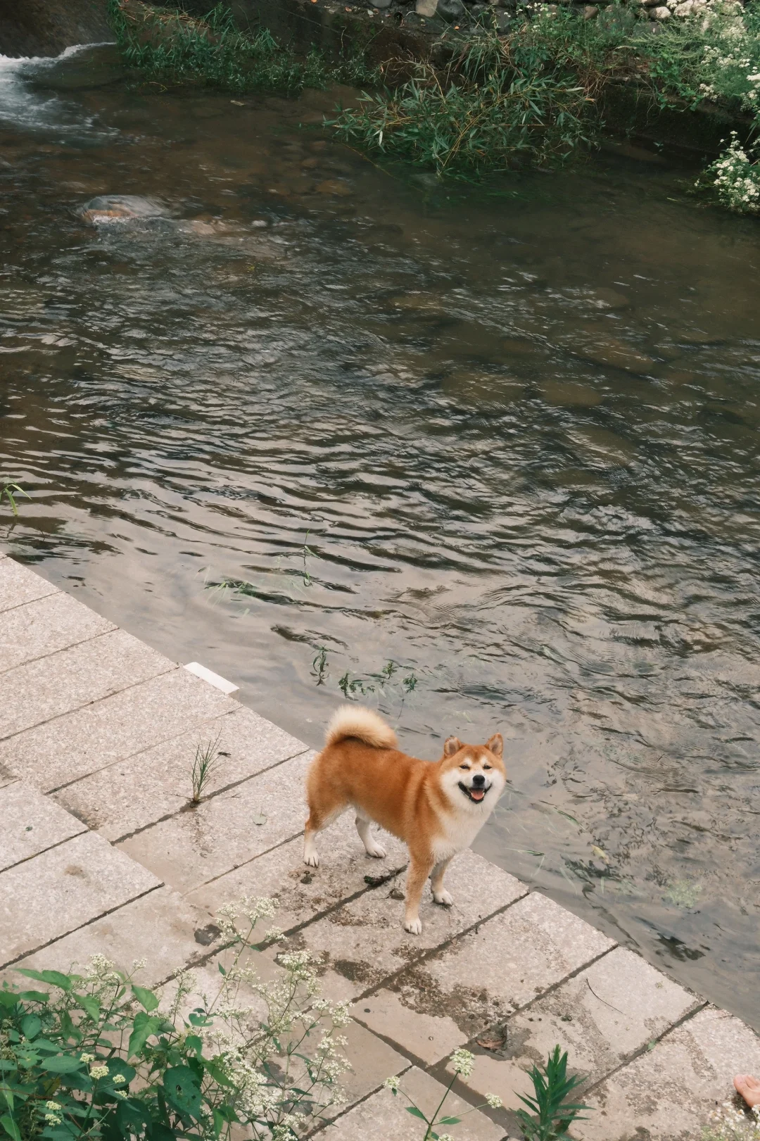 宝宝的秋日写真出炉咯